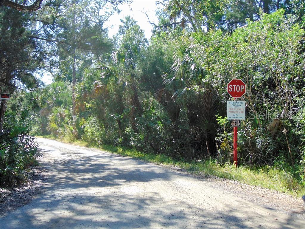 Felker Drive - Photo 1