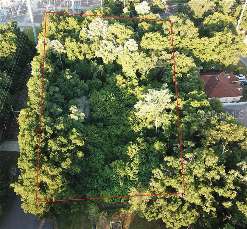 2134 Bird Street - Photo 1