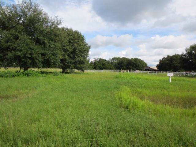LOT 10 Eagle Run - Photo 1