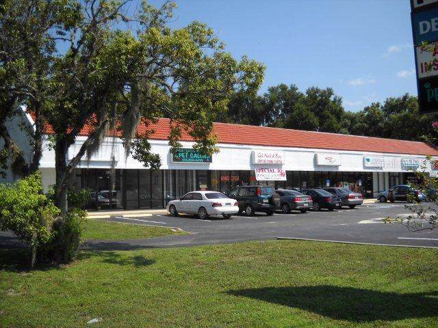 37031 State Road 54 - Photo 1