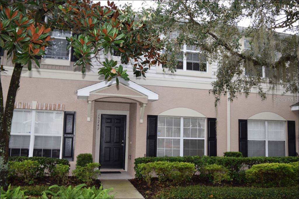 15747 Fishhawk Falls Drive - Photo 1