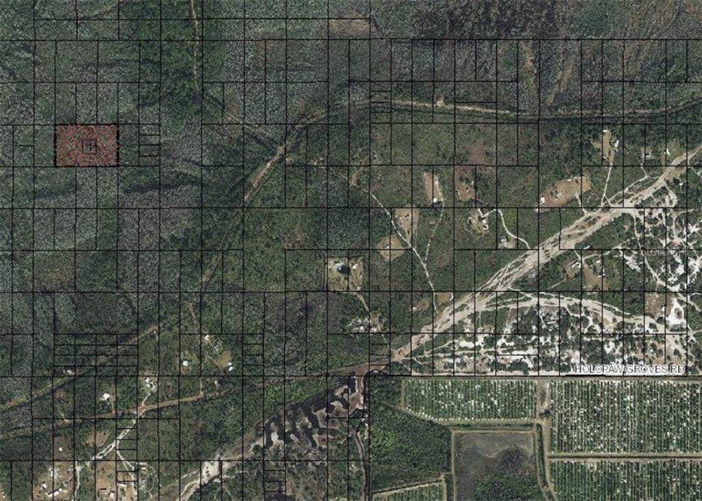 Holopaw Groves Road - Photo 1
