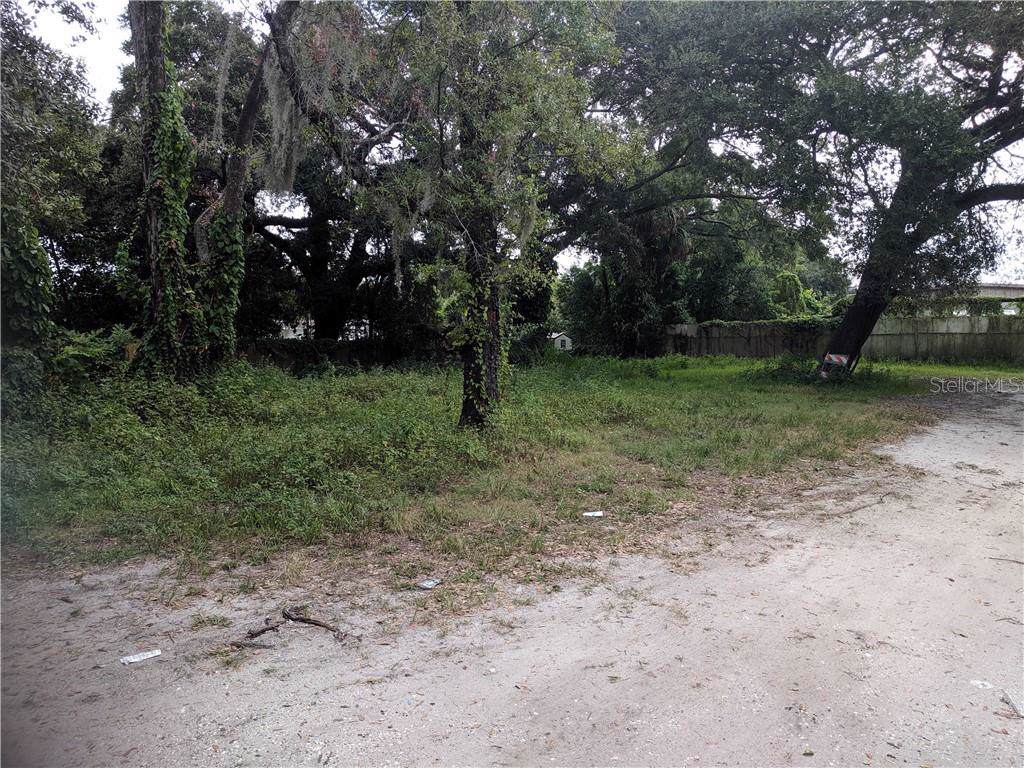 2604 Dr Martin Luther King Jr Boulevard - Photo 1