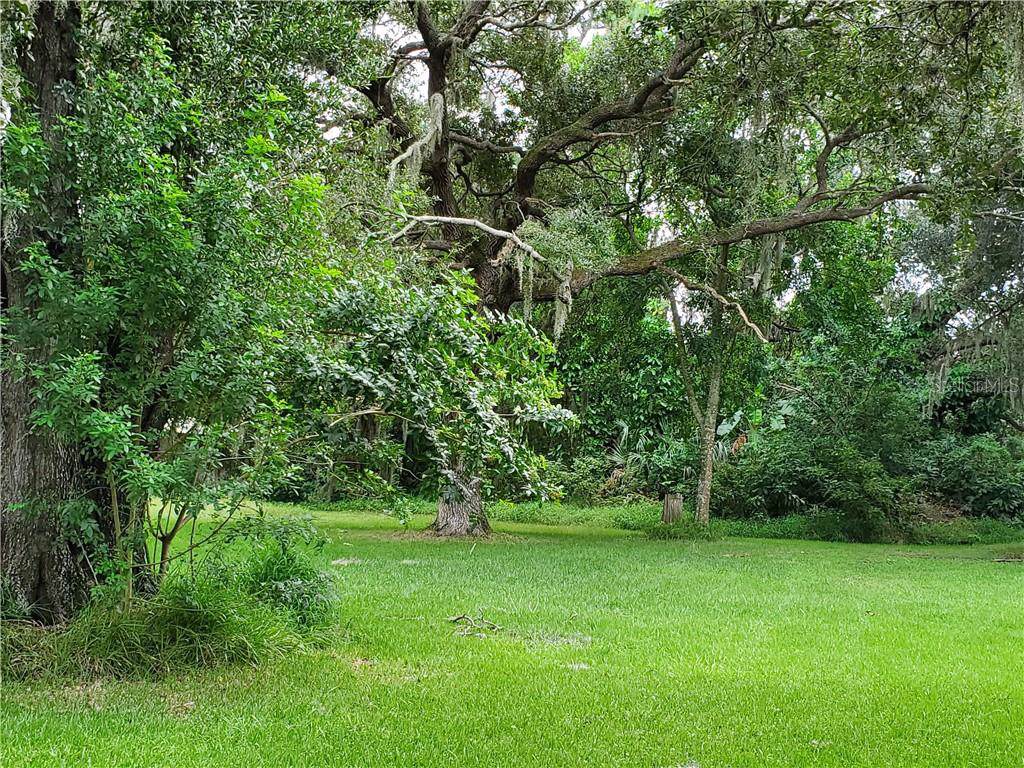 Lot 245 2ND Avenue - Photo 1
