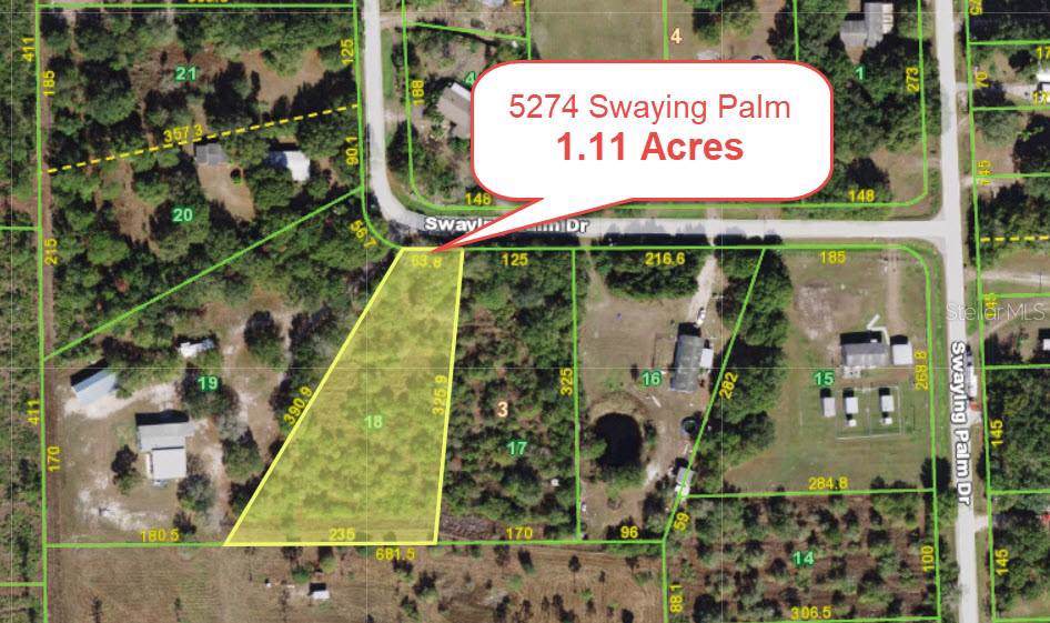 5274 Swaying Palm Drive - Photo 1