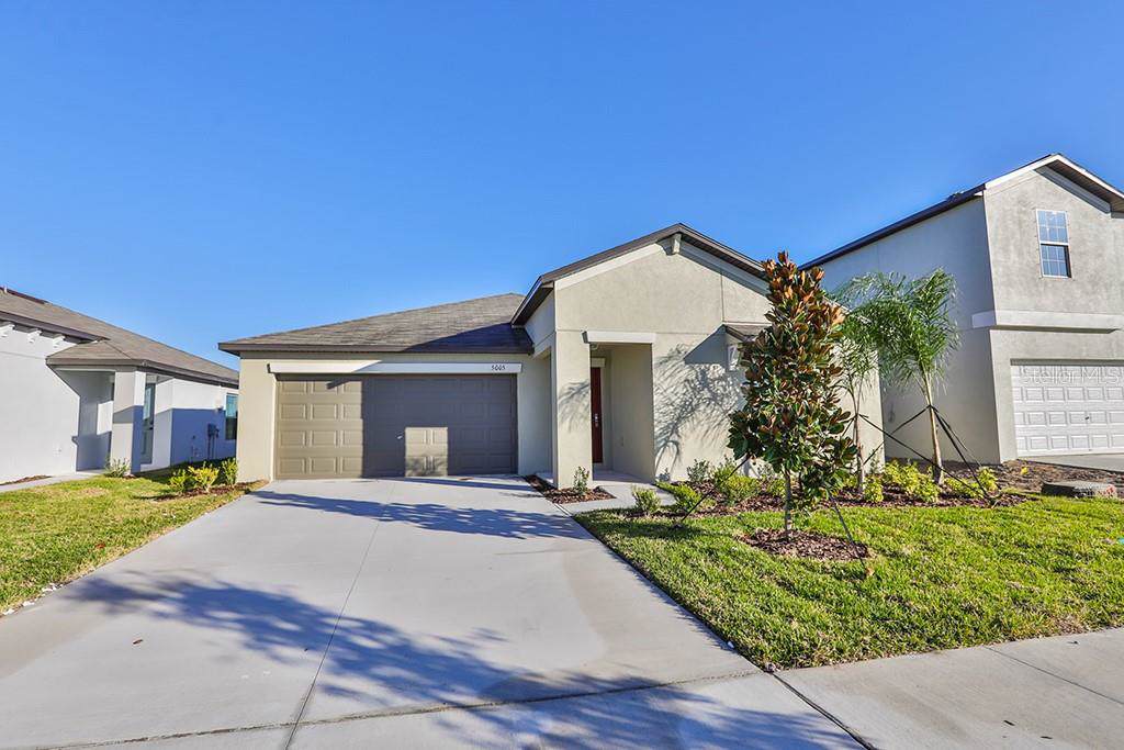 5005 White Chicory Drive - Photo 1