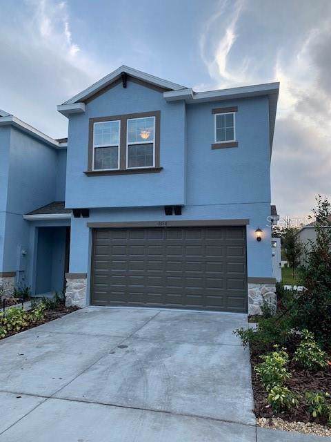 6616 Citrus Creek Lane - Photo 1