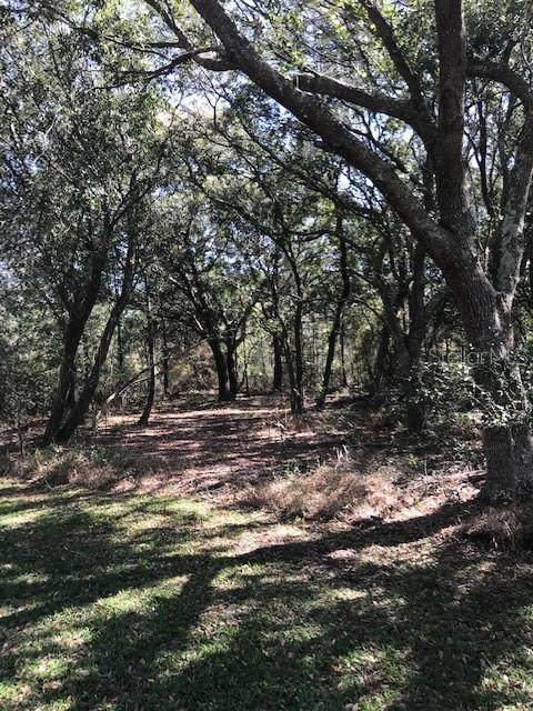 Lakeview Acres Road - Photo 1