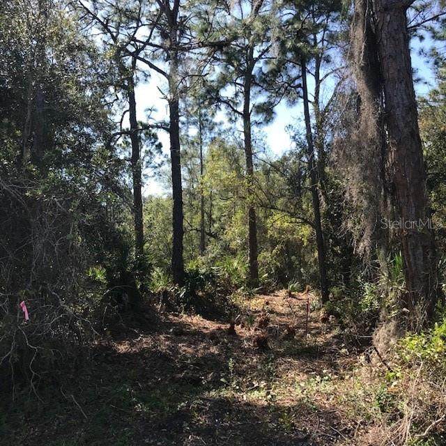 Chaplain Road - Photo 1