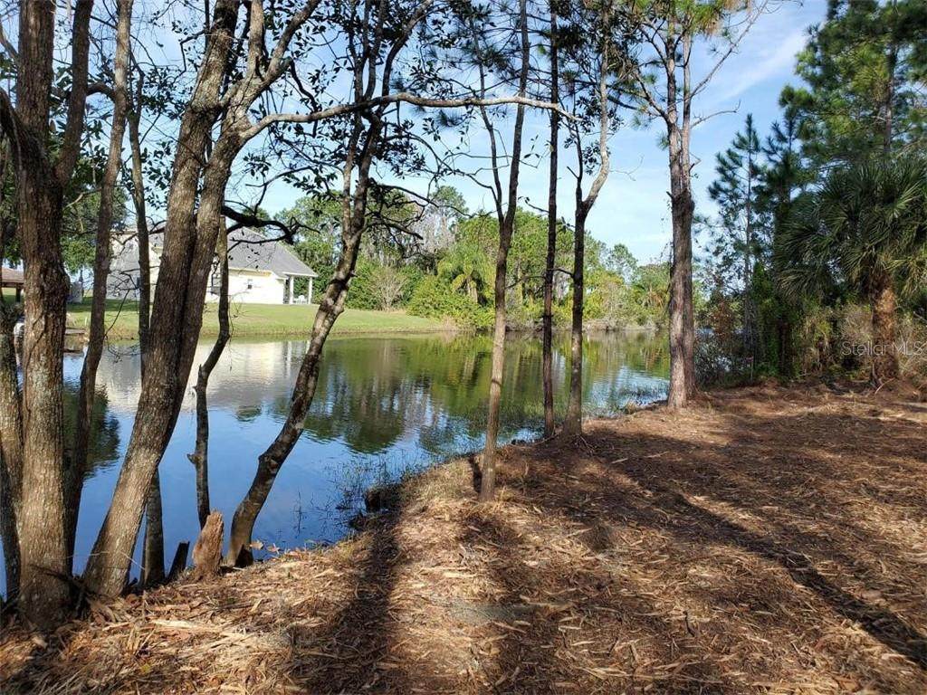 Palmetto Drive - Photo 1 Palmetto Drive - Photo 1
