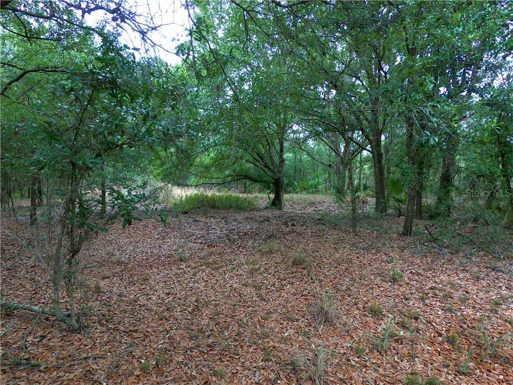 4982 261ST Street - Photo 1 4982 261ST Street - Photo 1