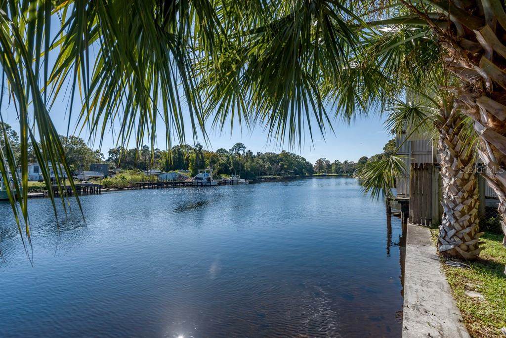 910 Alicia Avenue - Photo 1
