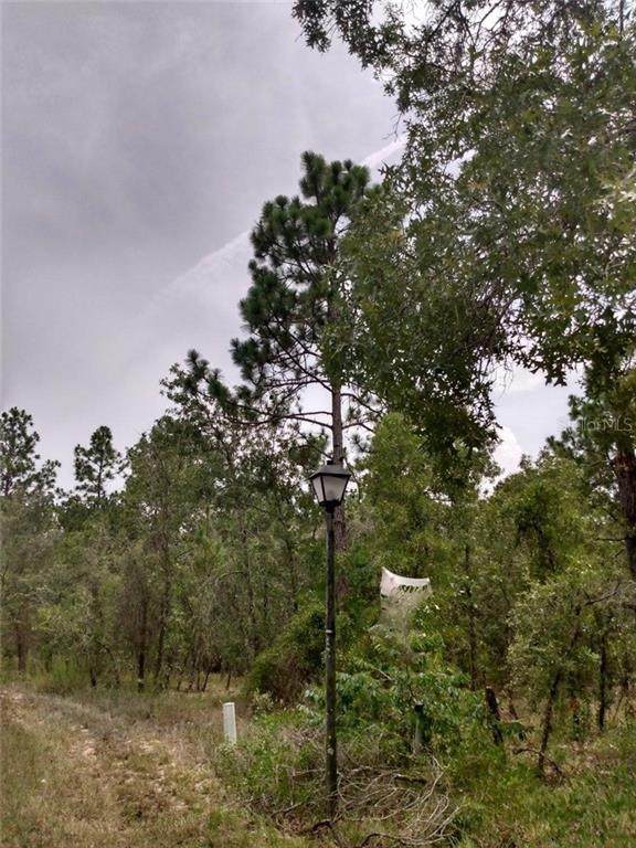 32 Pagoda Drive - Photo 1