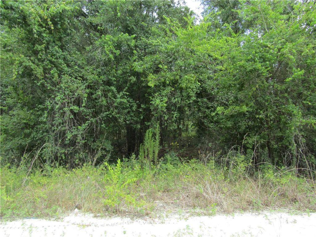 35387 Butternut Drive - Photo 1