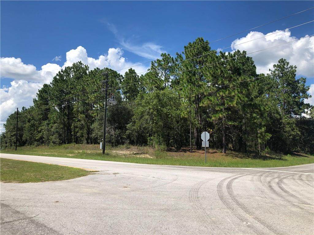 8559 Deltona Boulevard - Photo 1