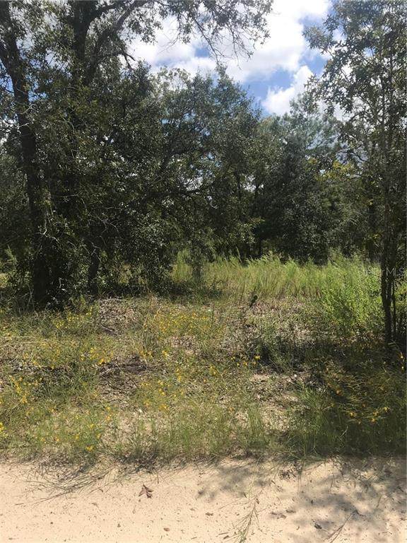 6879 Wanderlust Point - Photo 1
