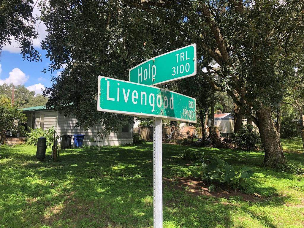 3141 Holp Trail - Photo 1