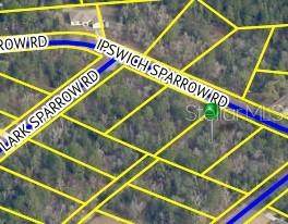 Lot 15 Ipswich Sparrow Road - Photo 1