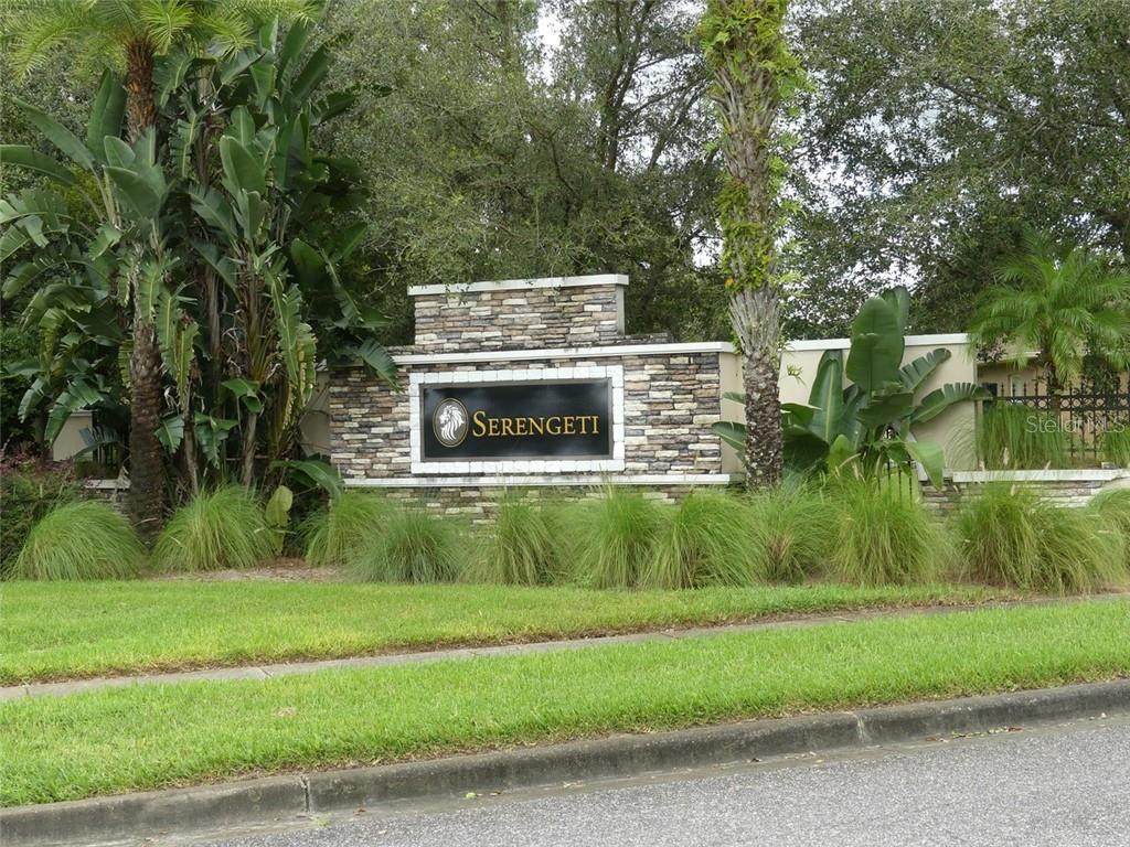 12917 Seronera Valley Court - Photo 1