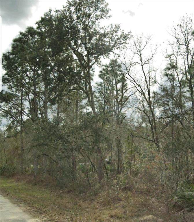 18255 Ohling Way - Photo 1