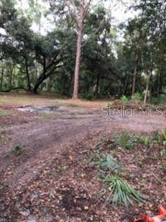 Knights Griffin Road - Photo 1