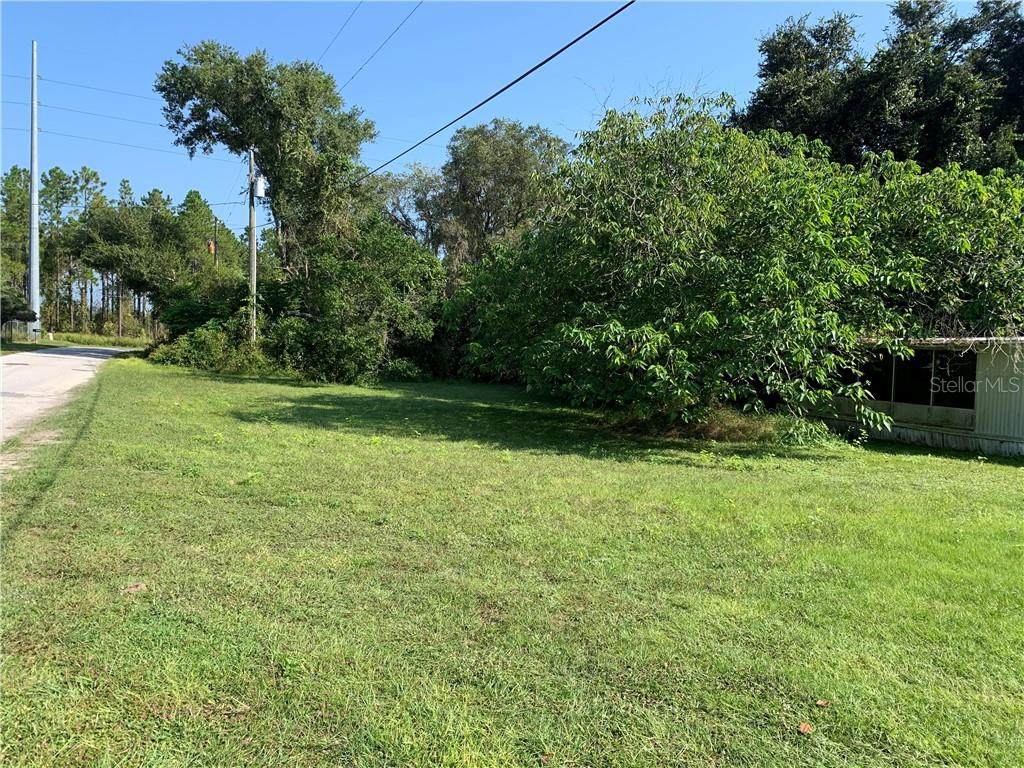 29403 Kelly Drive - Photo 1