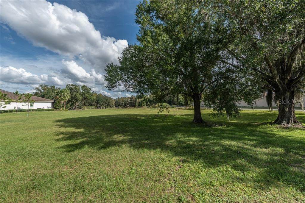 3908 Cove Lake Place - Photo 1