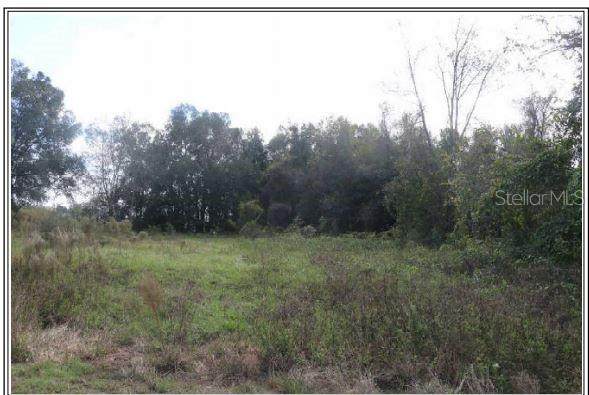 Knotgrass - Photo 1