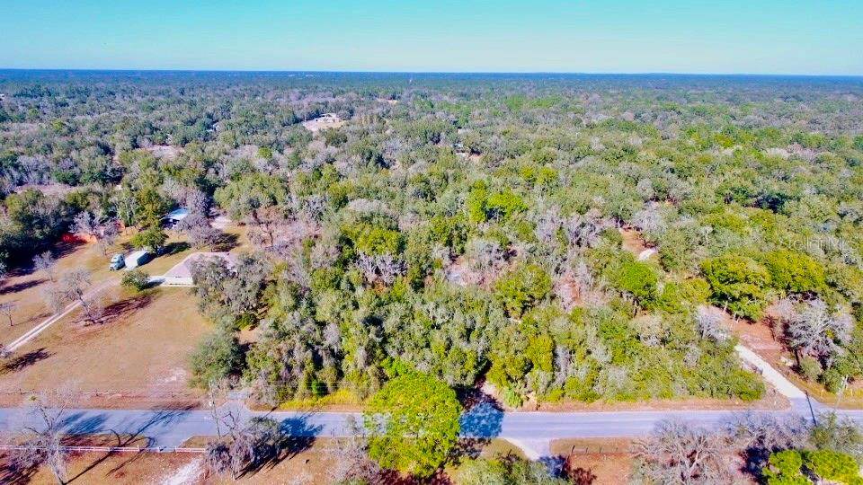 17047 Helen K Drive - Photo 1
