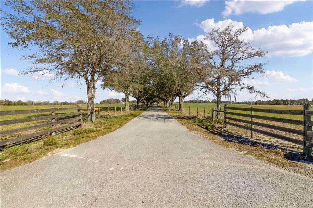23183 Powell Road - Photo 1