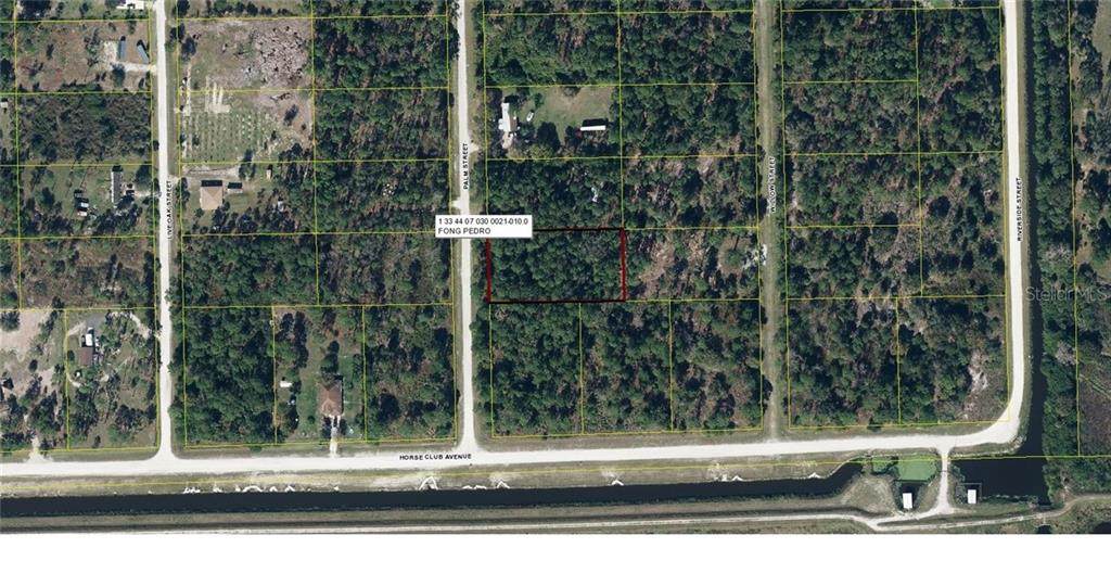 535 Palm Street - Photo 1