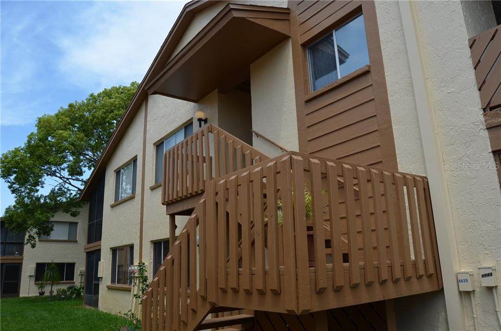4443 Pelorus Drive - Photo 1