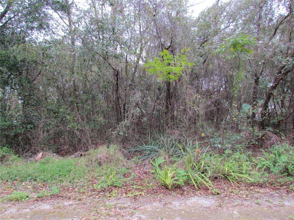 Gilmer Street - Photo 1