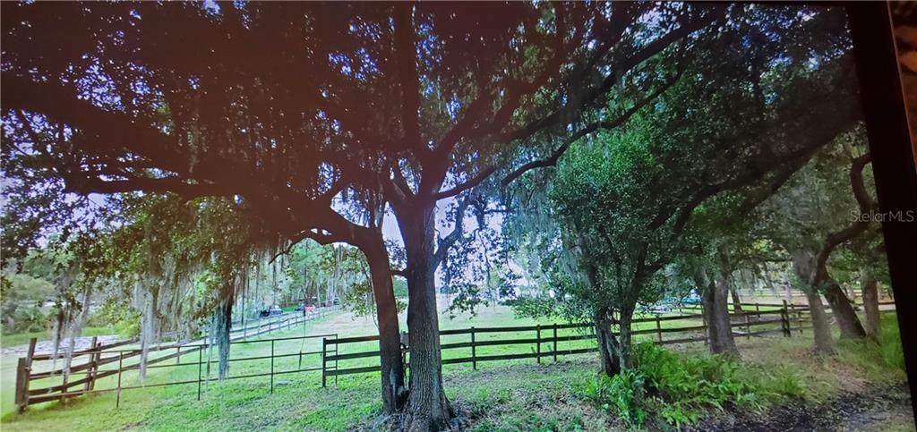12633 Hobson Simmons Road - Photo 1