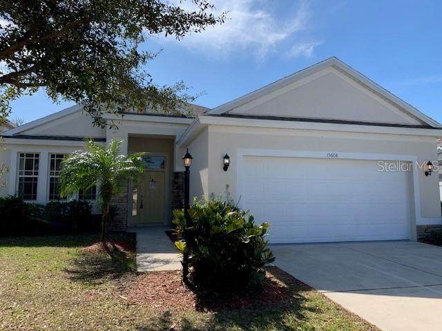15608 Lemon Fish Drive - Photo 1