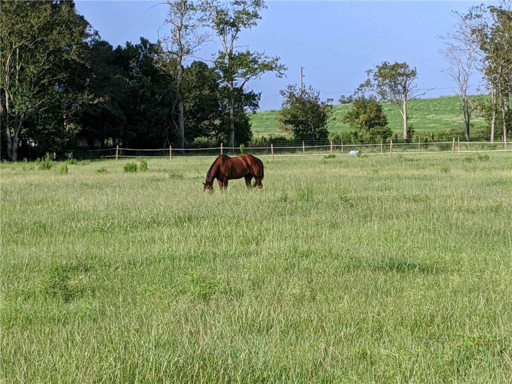 36336 Christian Road - Photo 1