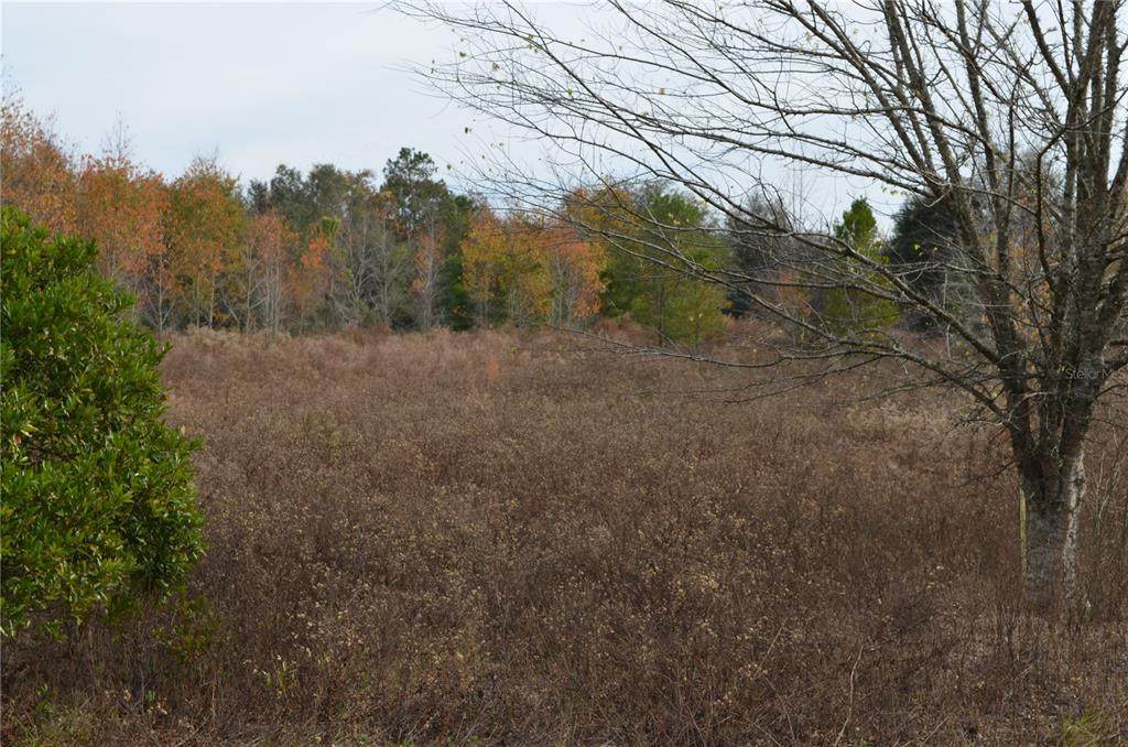 8027 Us Hwy 27 - Photo 1