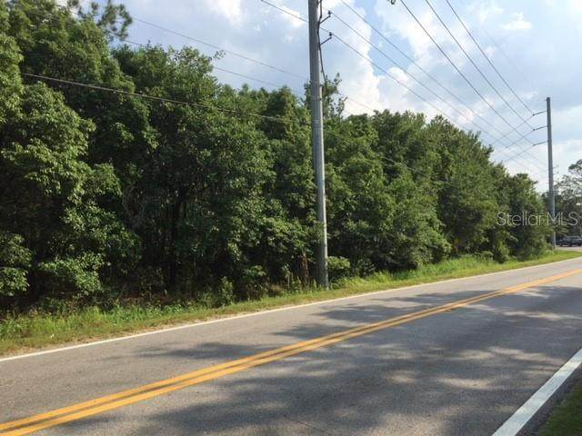 Mud Lake Road - Photo 1