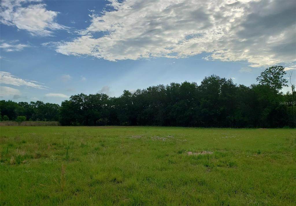 00002 Kinard Road - Photo 1