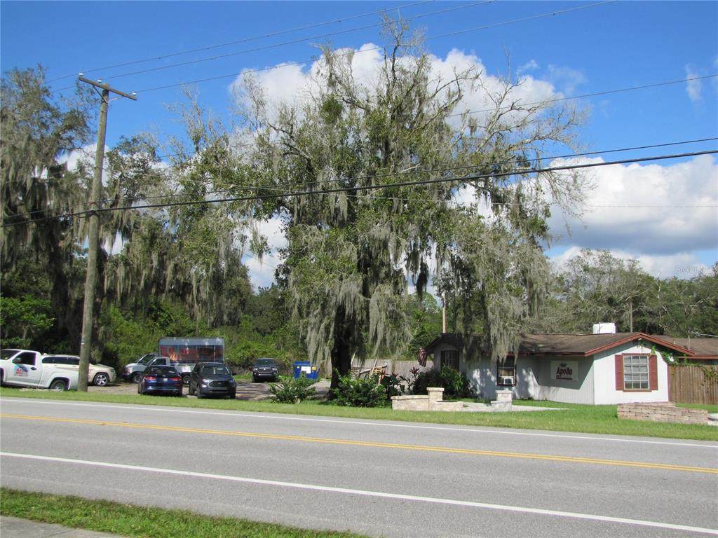 3709 Lithia Pinecrest Road - Photo 1