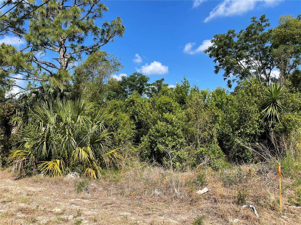4351 Mariner Boulevard - Photo 1