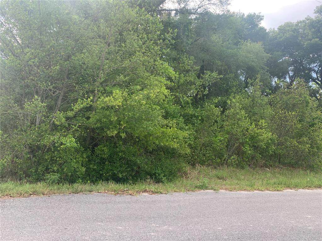 21051 School Road - Photo 1