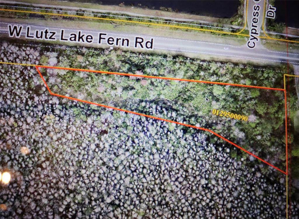 00 Lutz Lake Fern Road - Photo 1