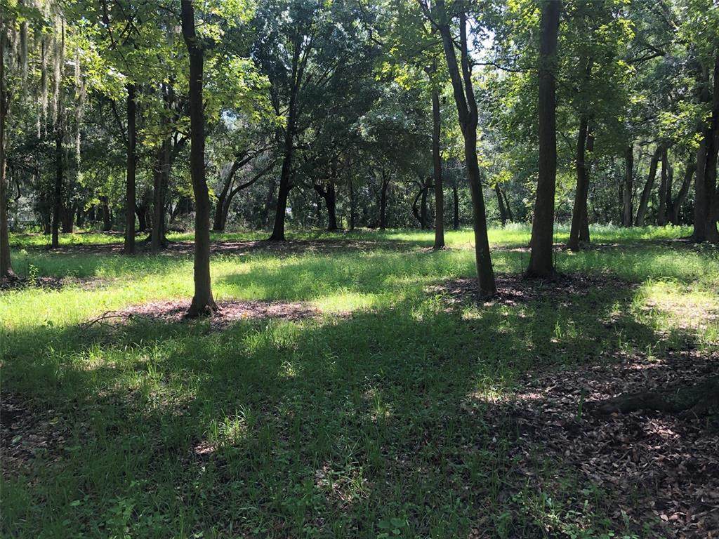 11308 Walter Hunter Road - Photo 1