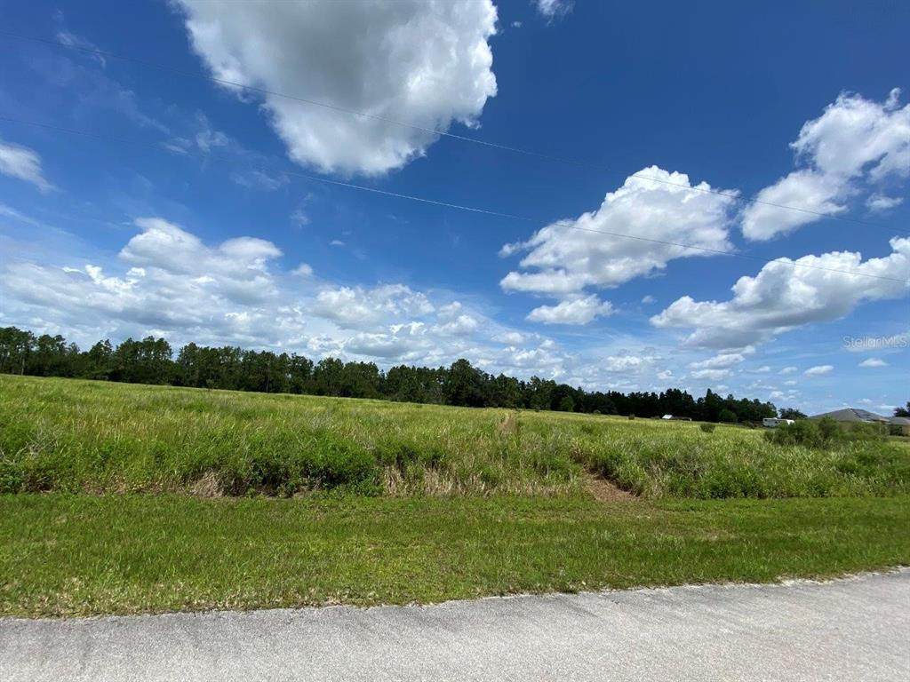 Brooke Lakes Drive - Photo 1