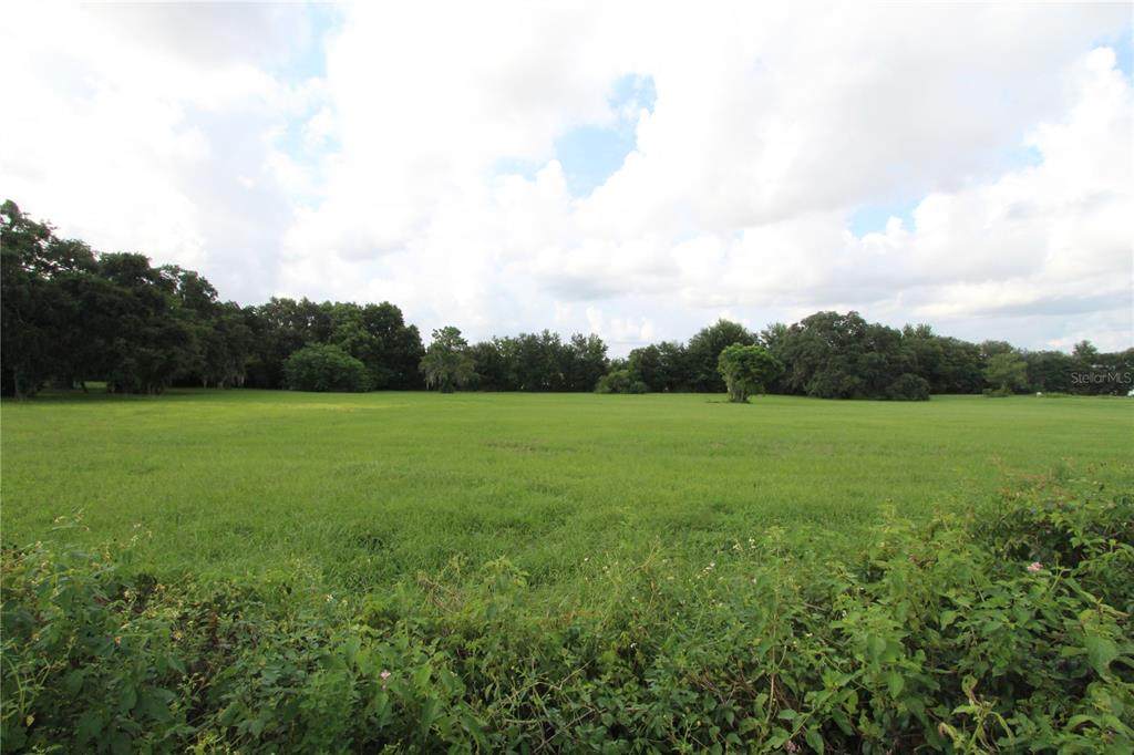 1520 Valrico Lake Road - Photo 1