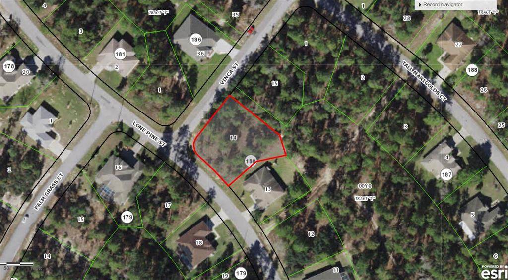 28 Lone Pine Street - Photo 1