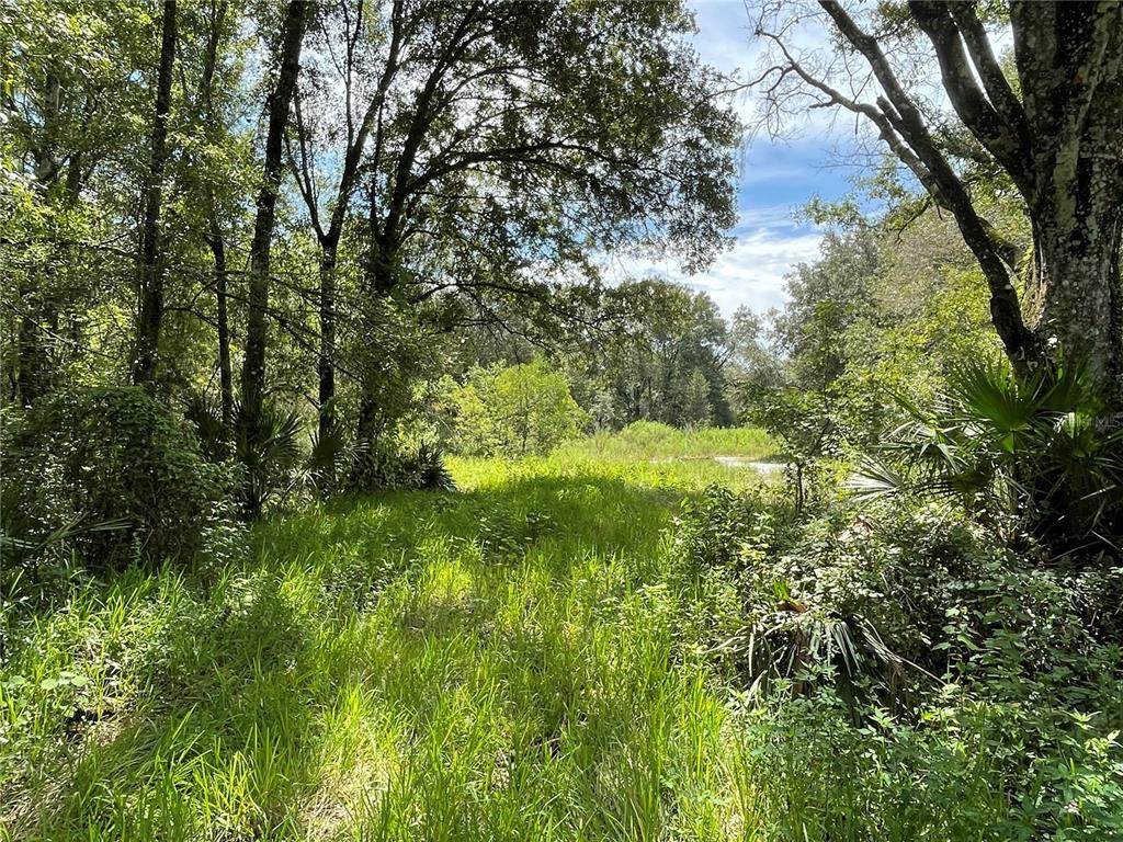 33304 Betts Drive - Photo 1