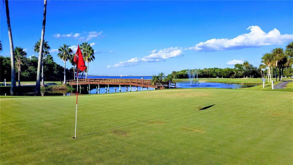 2621 Cove Cay Drive - Photo 1