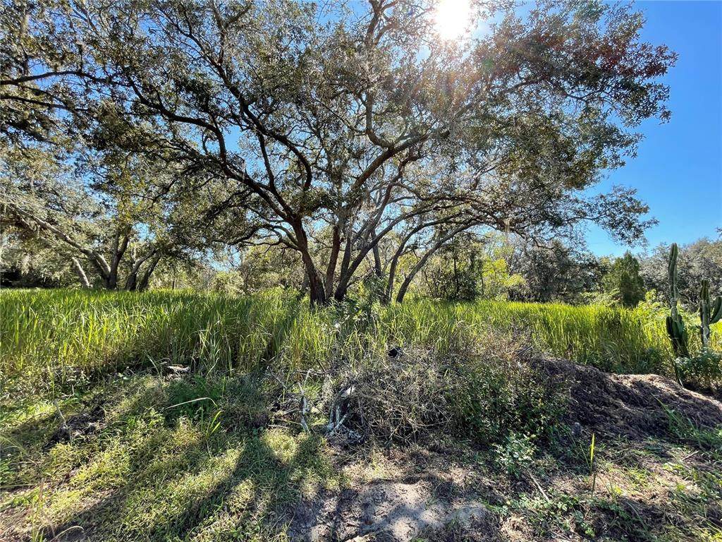 1771 Fonda Road - Photo 1